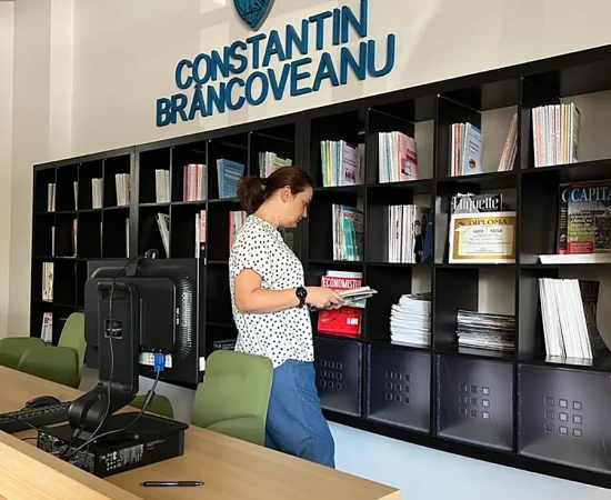 Bibliotecă galerie